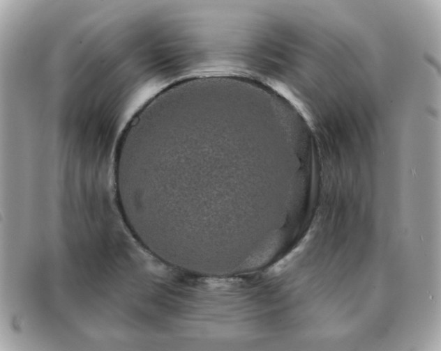X0000091531469200708171209