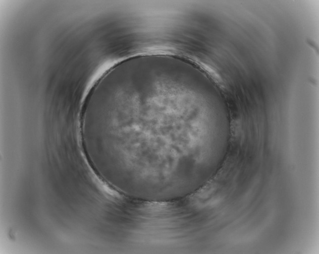 X0000091531470200708171209