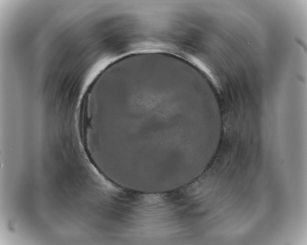 X0000091531472200708171209