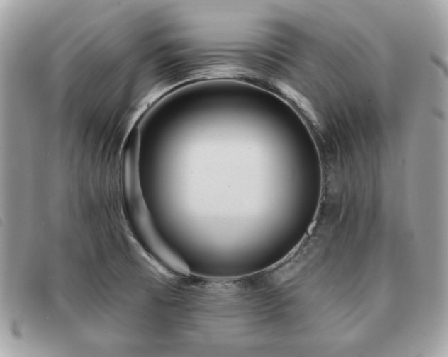 X0000091531473200708171209