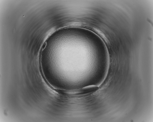 X0000091531475200708171209