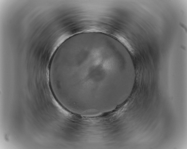 X0000091531476200708171209