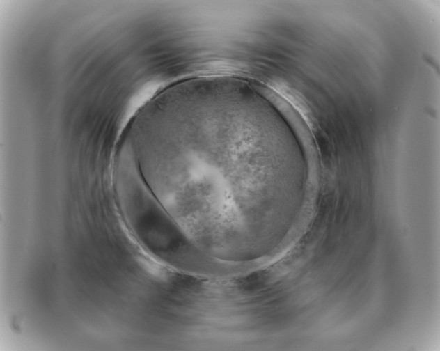 X0000091531477200708171209