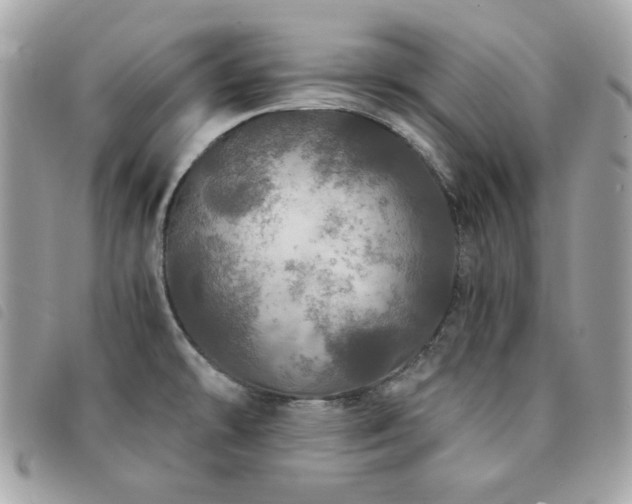 X0000091531478200708171209