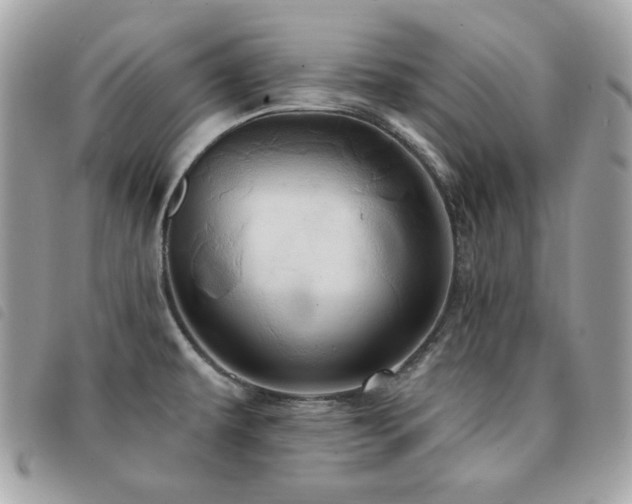 X0000091531479200708171209