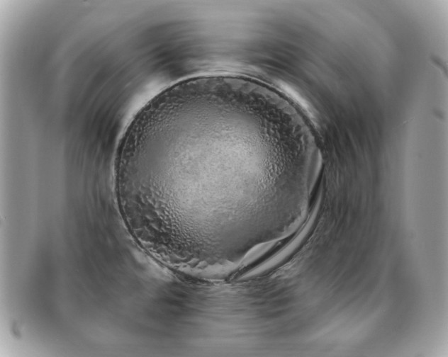 X0000091531480200708171209