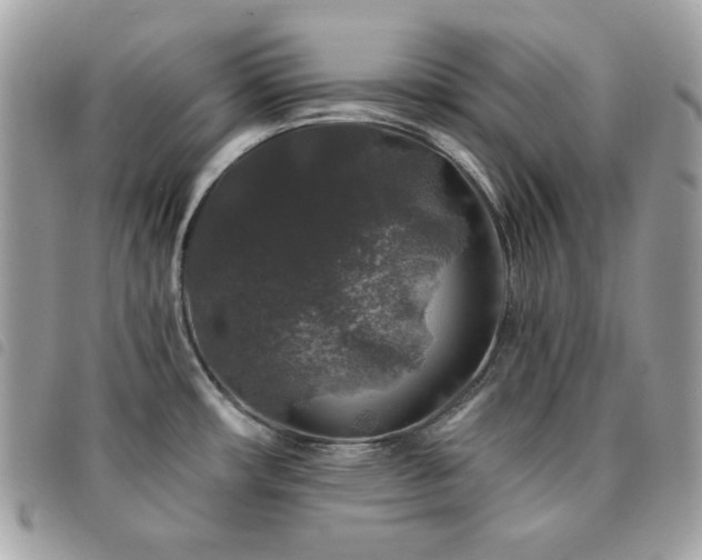 X0000091531482200708171209