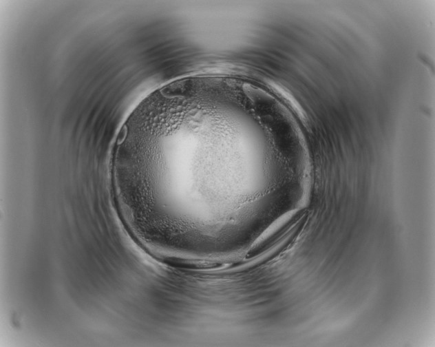 X0000091531483200708171209