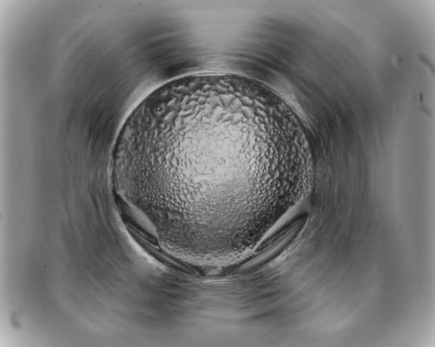 X0000091531484200708171209
