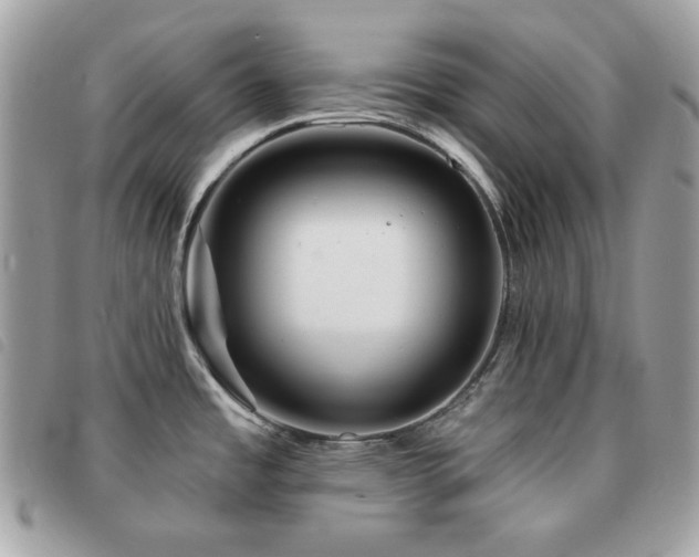 X0000091531485200708171209