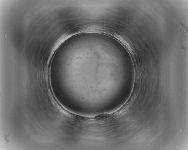 X0000091531486200708171209