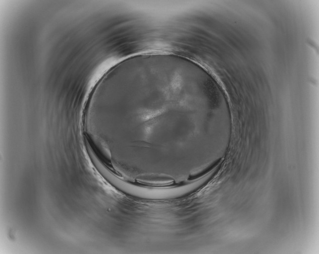 X0000091531488200708171209