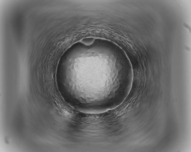 X0000091531489200708171208