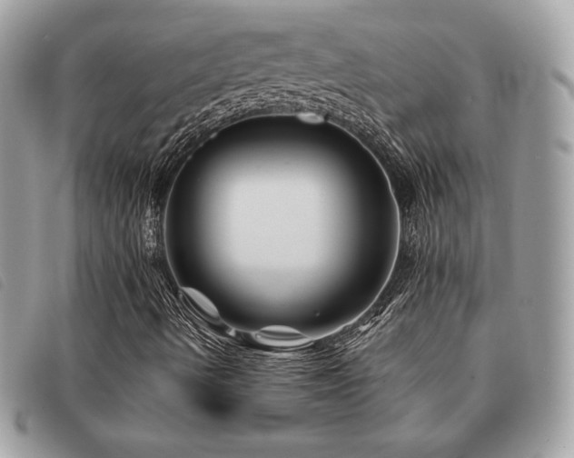 X0000091531490200708171209