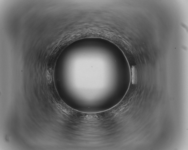 X0000091531491200708171209