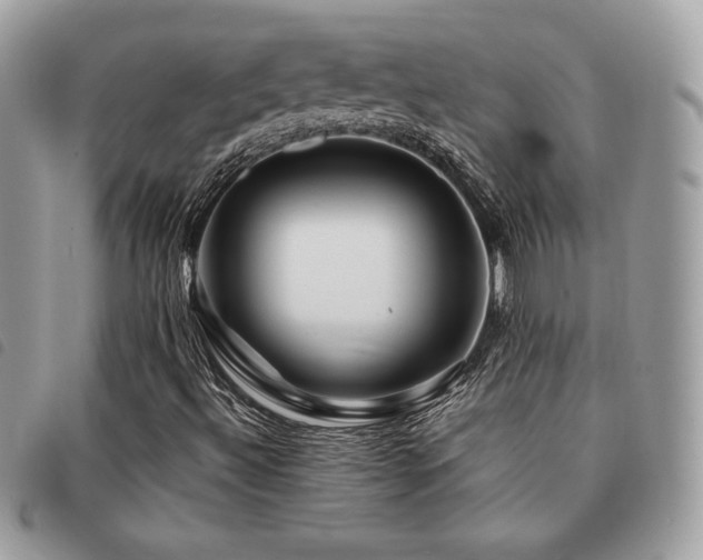 X0000091531492200708171209