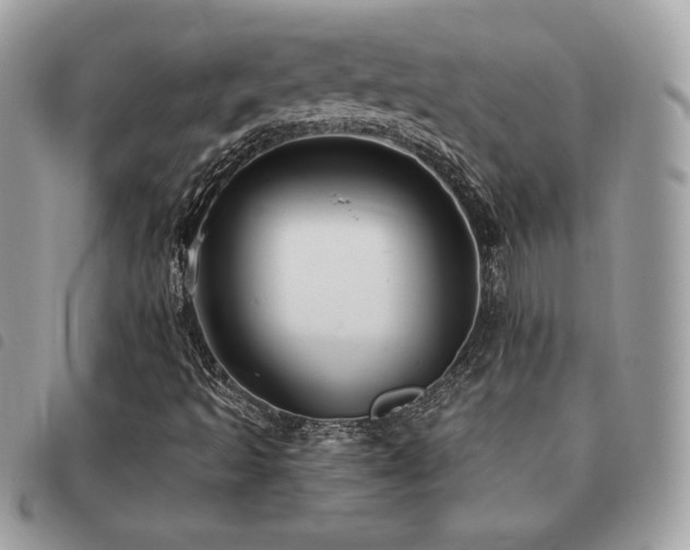 X0000091531493200708171209