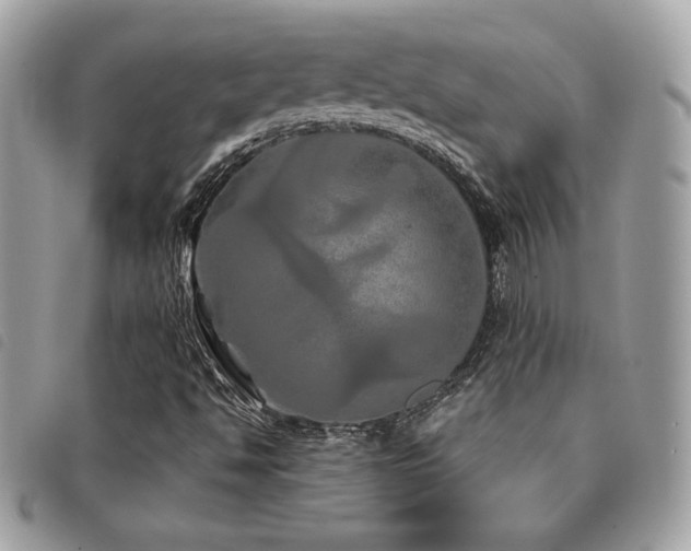 X0000091531494200708171209