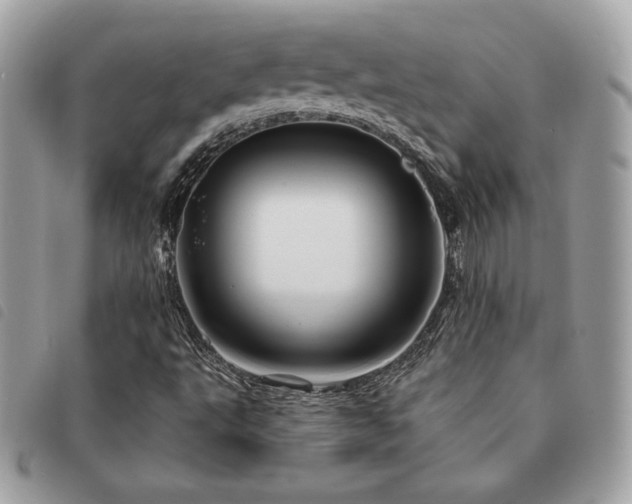 X0000091531495200708171209