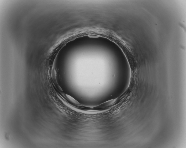 X0000091531496200708171209