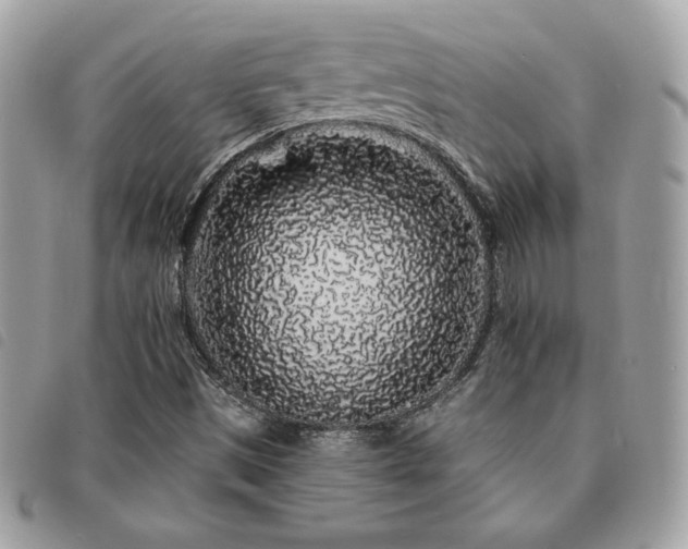 X0000091531497200708171209