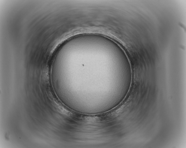 X0000091531498200708171209