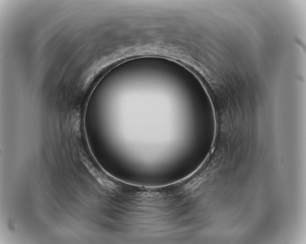 X0000091531499200708171209