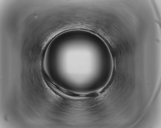 X0000091531500200708171209