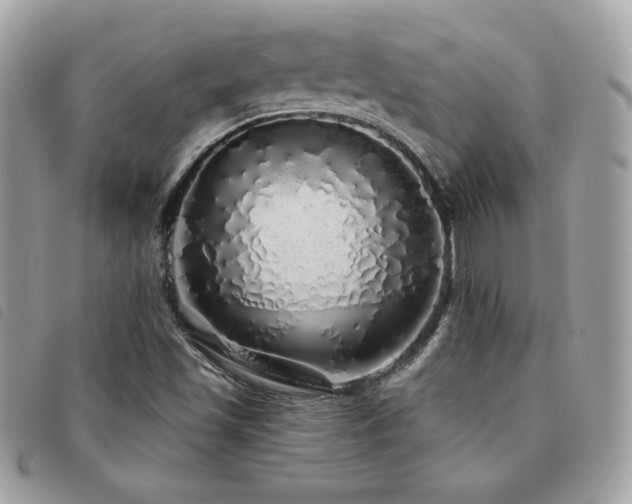 X0000091531501200708171209