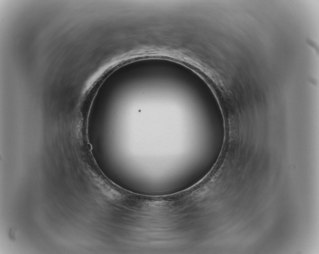 X0000091531502200708171209