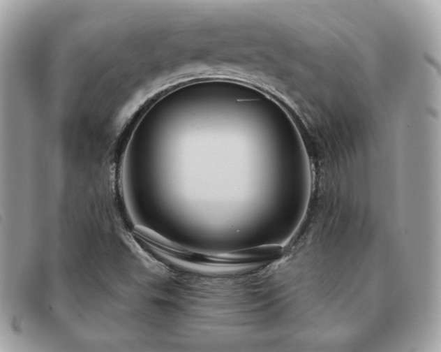 X0000091531503200708171209