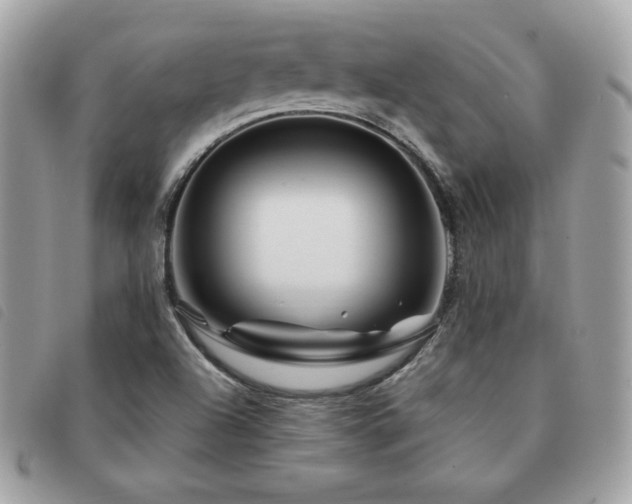 X0000091531504200708171209