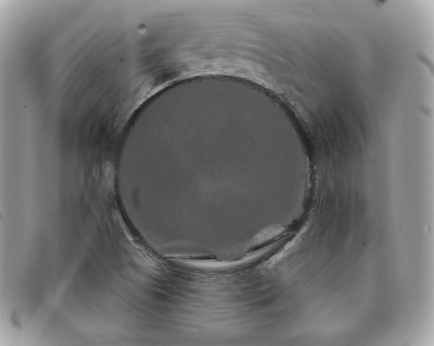 X0000091531505200708171209