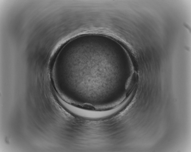 X0000091531506200708171209