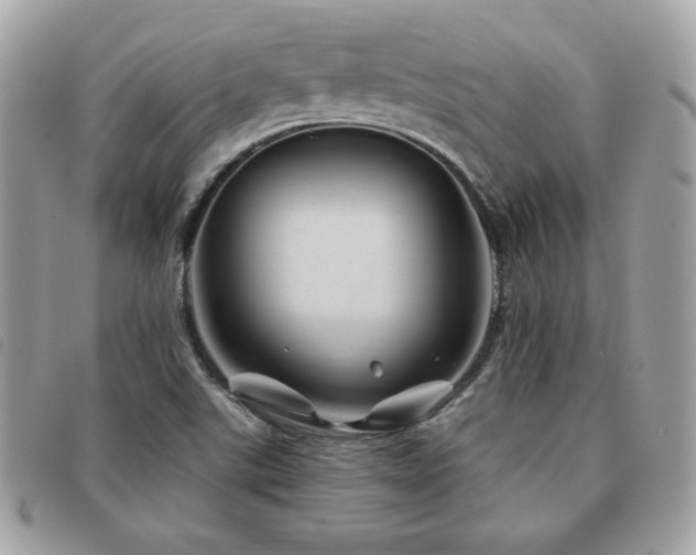 X0000091531507200708171209