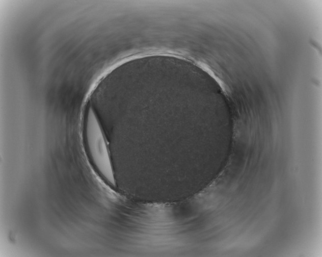 X0000091531508200708171209
