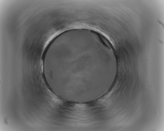 X0000091531509200708171209