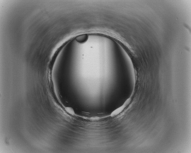 X0000091531510200708171209