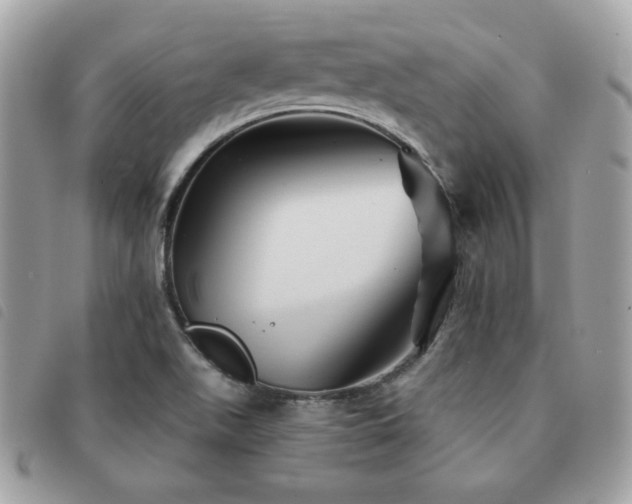 X0000091531511200708171209