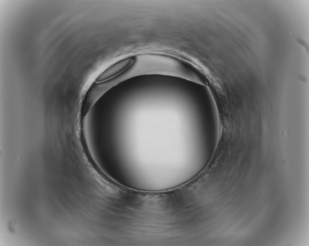 X0000091531512200708171209