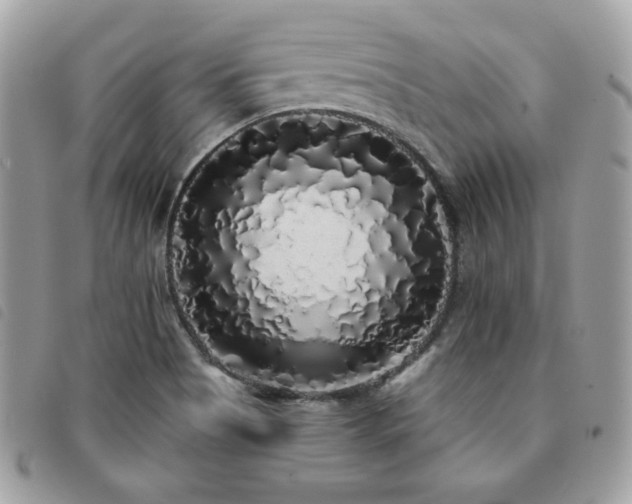 X0000091531513200708171209