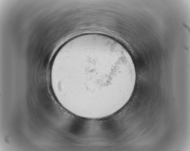 X0000091531514200708171209