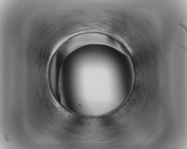 X0000091531516200708171209