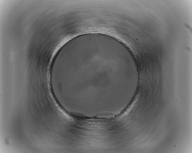 X0000091531517200708171209