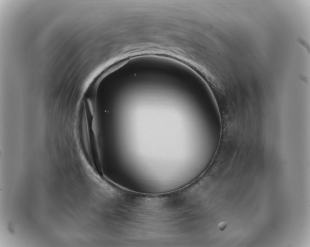 X0000091531518200708171209