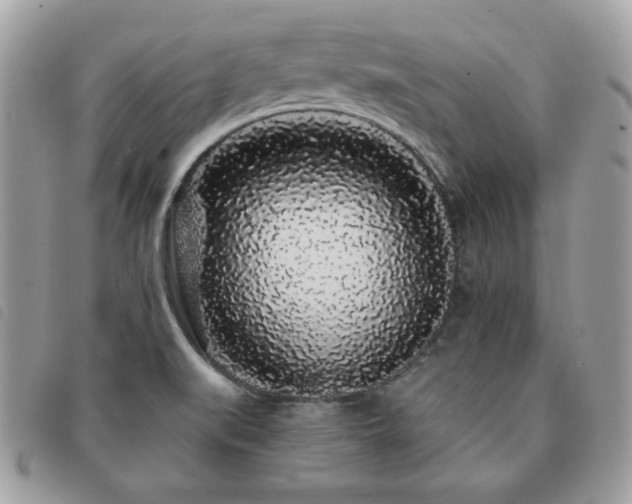 X0000091531519200708171209