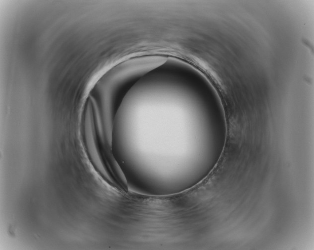 X0000091531520200708171209