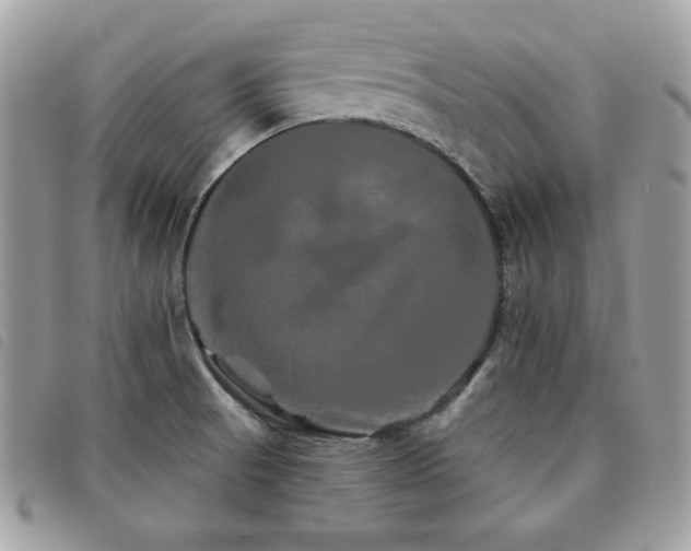 X0000091531521200708171209