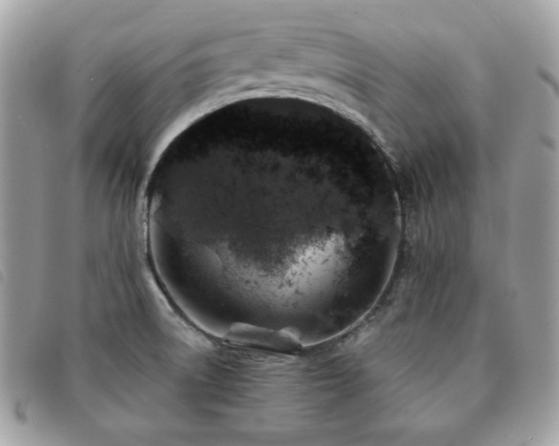 X0000091531522200708171209