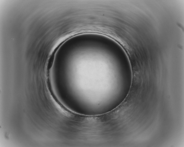 X0000091531523200708171209